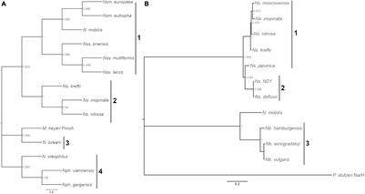 Differential Responses of the Catalytic Efficiency of Ammonia and Nitrite Oxidation to Changes in Temperature